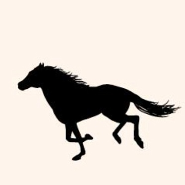 Юбилейный Иерусалимский кинофестиваль объявил даты Юбилейный Иерусалимский кинофестиваль объявил даты