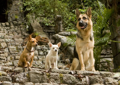 кадр из фильма "Крошка из Беверли-Хиллз"