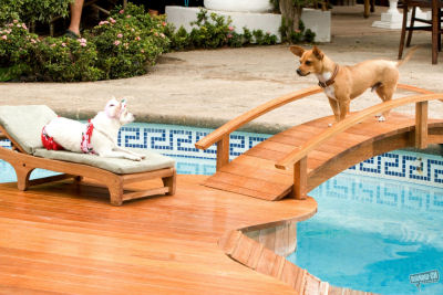 кадр из фильма "Крошка из Беверли-Хиллз"