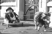 кадр из фильма "Доктор Плонк"