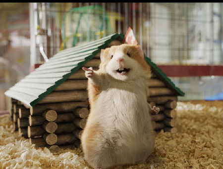 кадр из фильма "Отряд Дарвина"