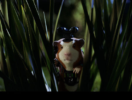 кадр из фильма "Отряд Дарвина"