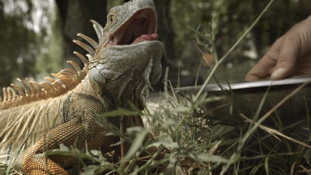 Кадр из фильма "Своя республика" Кадр из фильма "Своя республика"