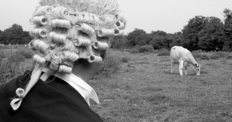 кадр из фильма Одинокая битва Томаса Рида кадр из фильма Одинокая битва Томаса Рида