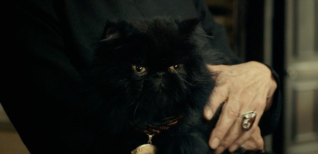 кадр из фильма "Темнее ночи"