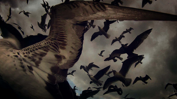 кадр из фильма "Левиафан"