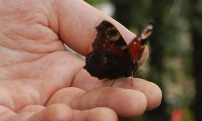 кадр из фильма "Outro", режиссер Юлия Панасенко