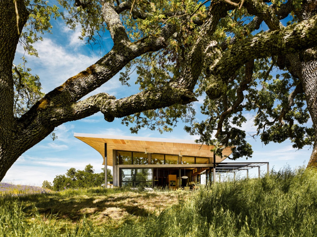 Caterpillar House компании Feldman Architecture. Источник - feldmanarchitecture.com