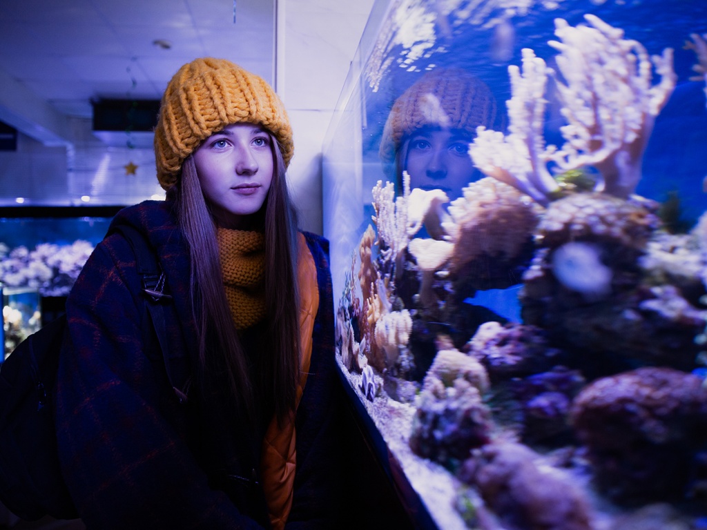 съемки фильма Комета Галлея