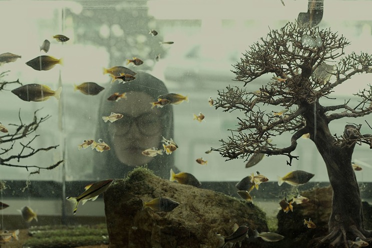 кадр из фильма Рай