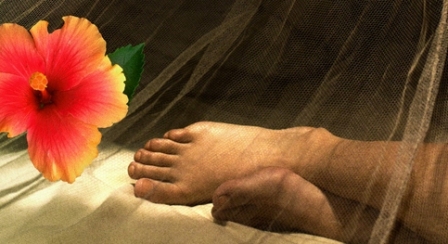 Вспоминая моих печальных шлюх