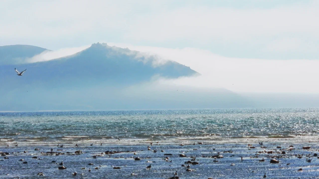 Кадр из фильма Вместе с птицами