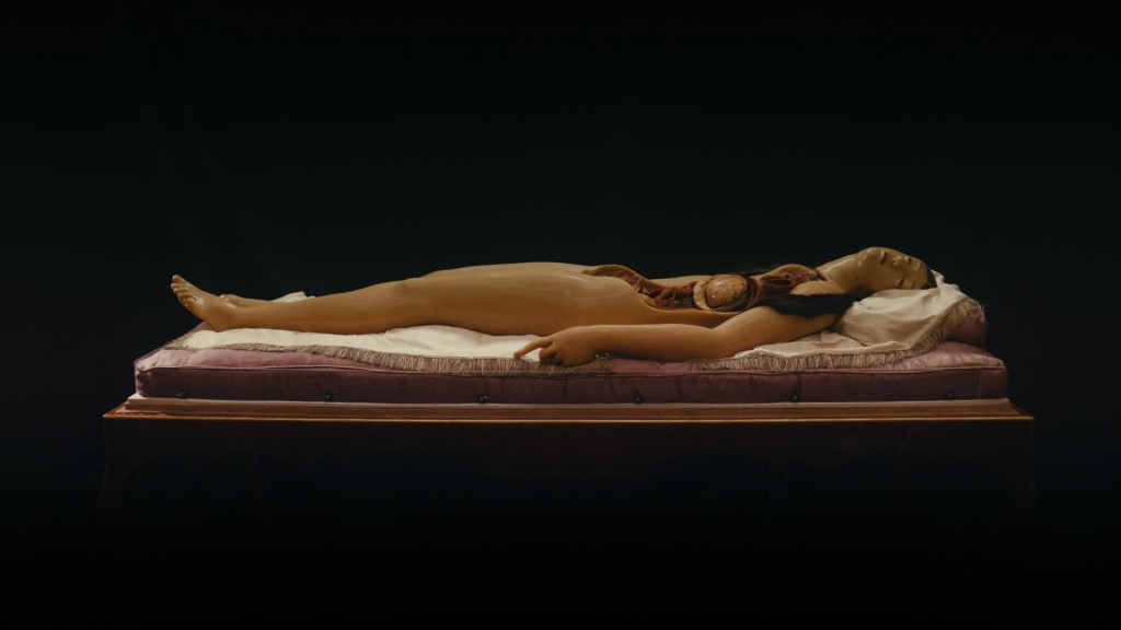 Почти человек Мир знаний.jpg