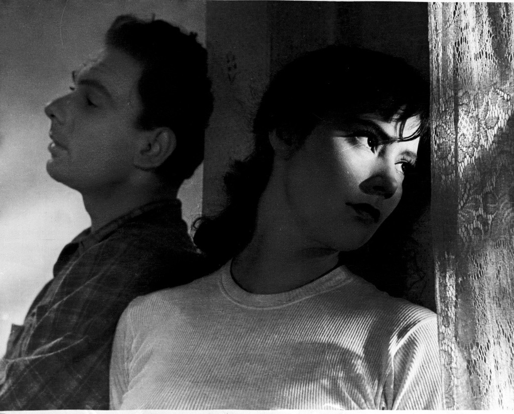 кадр из фильма Летят журавли кадр из фильма Летят журавли