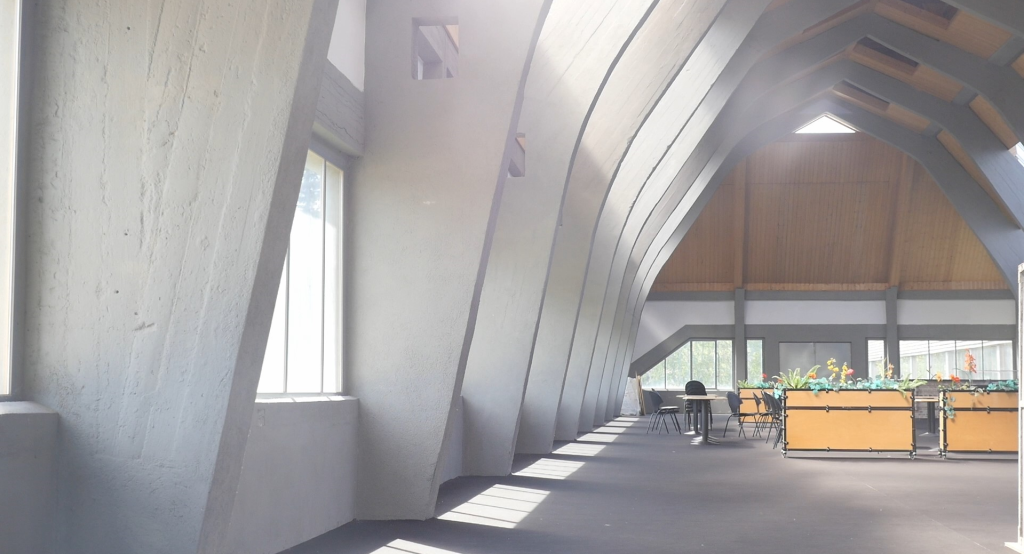 Авангардная чагода Авангардная чагода