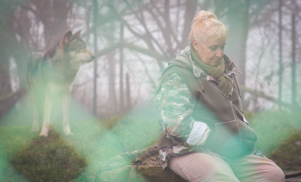 кадр из фильма Misha and the Wolves кадр из фильма Misha and the Wolves