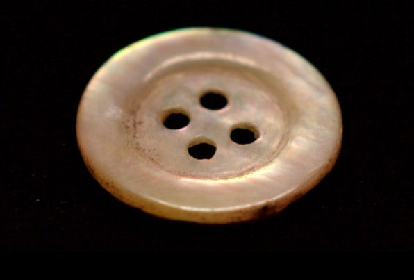 кадр из фильма "Перламутровая пуговица"