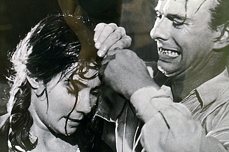 Кадр из фильма "Летят журавли"