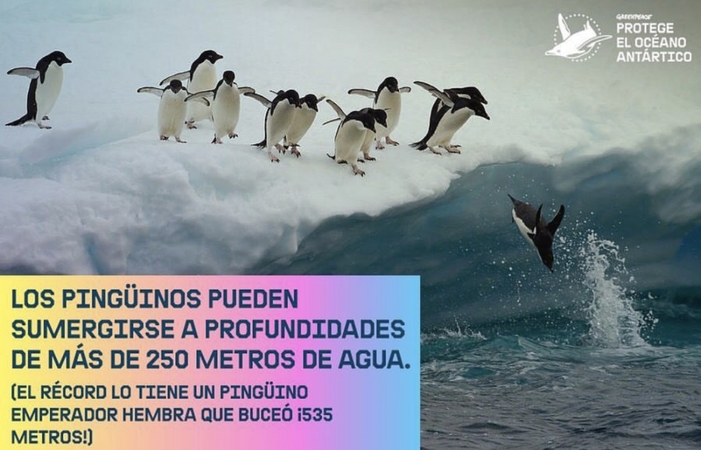 Хавьер Бардем призывает защитить пингвинов