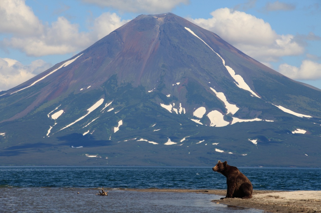 Russian Film Week в Лондоне 