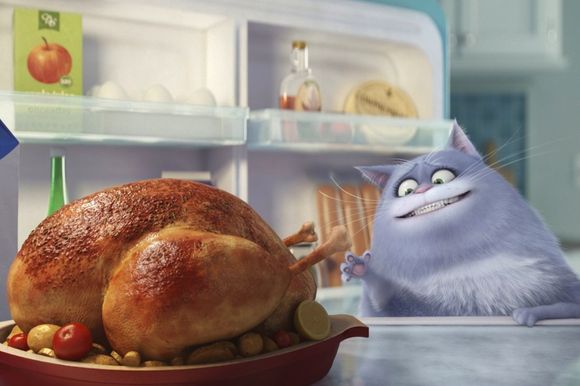 кадр из фильма "Тайная жизнь домашних животных" кадр из фильма "Тайная жизнь домашних животных"