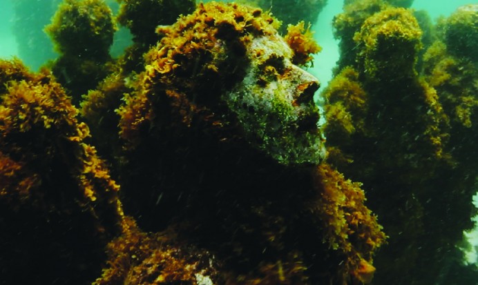 кадр из фильма HOW TO MEET A MERMAID