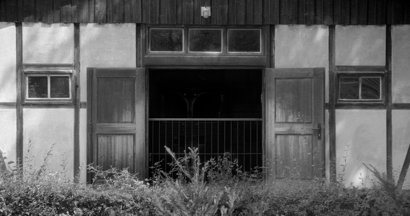 кадр из фильма Аустерлиц