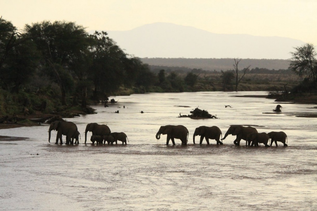 кадр из фильма Кровавые бивни