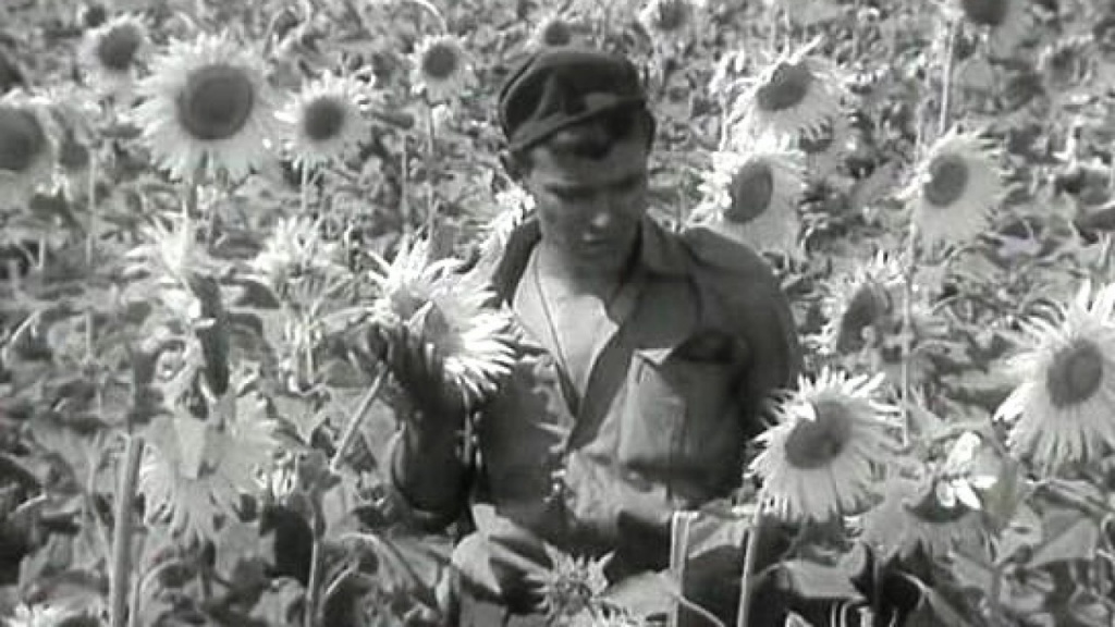 Кадр из фильма "Они шли на восток" Кадр из фильма "Они шли на восток"