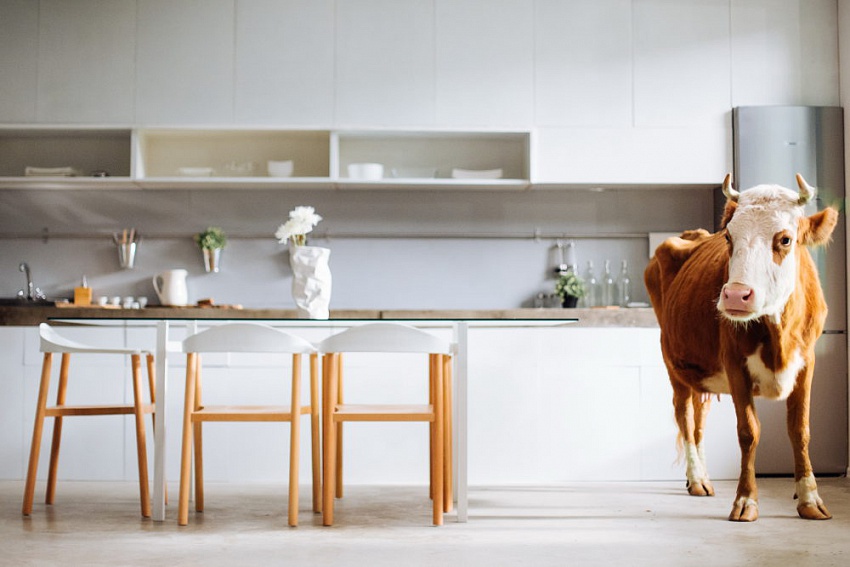 кадр из фильма Молоко