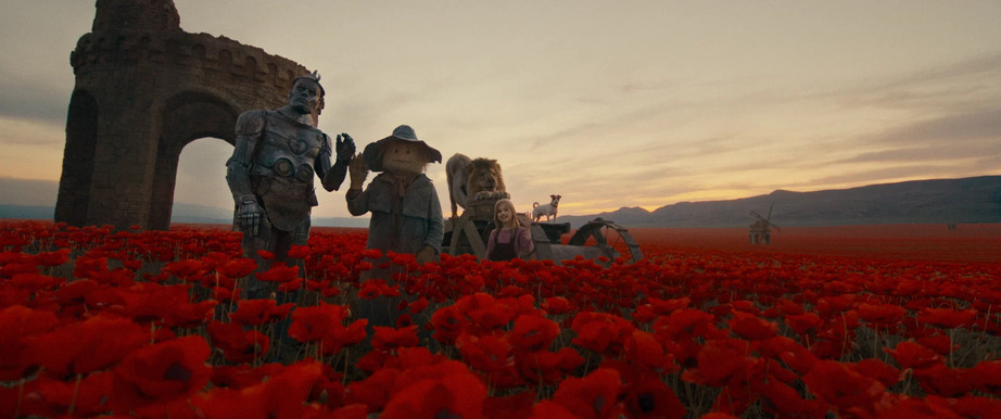 Кадр из фильма Волшебник Изумрудного города. Дорога из желтого кирпича Кадр из фильма Волшебник Изумрудного города. Дорога из желтого кирпича