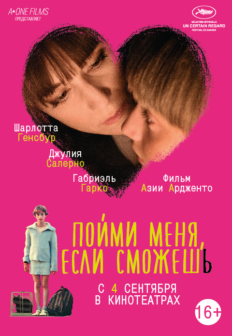 постер фильма "Пойми меня, если сможешь"