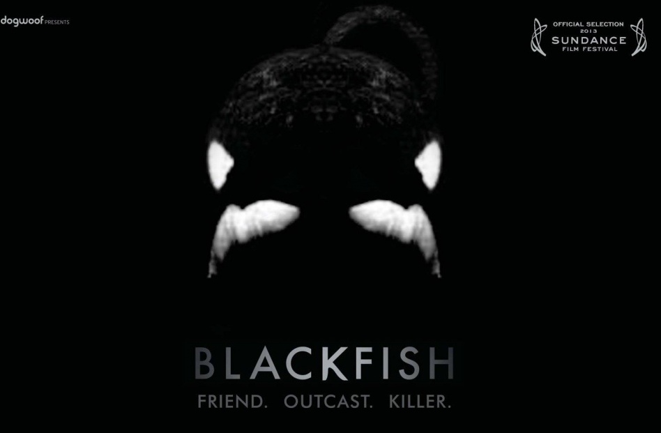 фрагмент ки-арта фильма Черный плавник