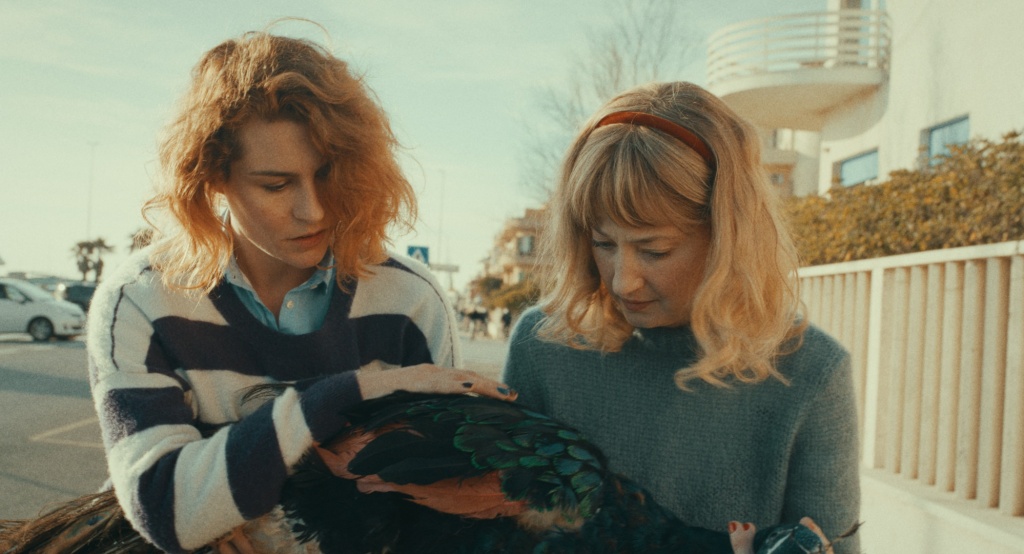 кадр из фильма Павлиний рай