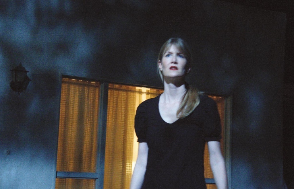 кадр из фильма Внутренняя империя