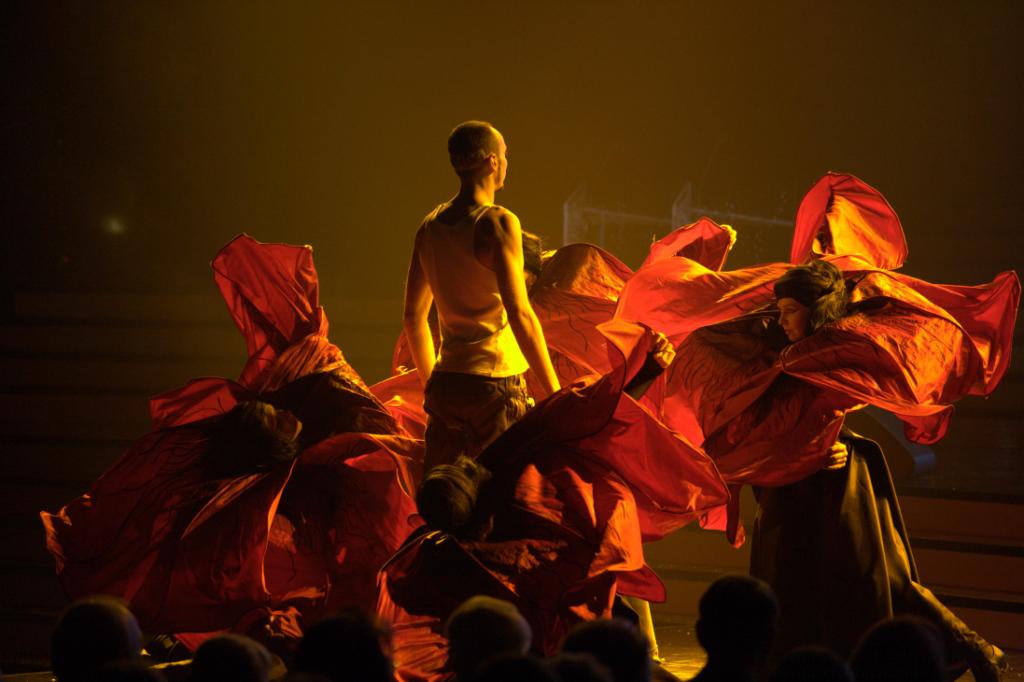 IX Церемония вручения премии Национальной Академии Кинематографических искусств и наук &laquo;Золотой орел&raquo;.