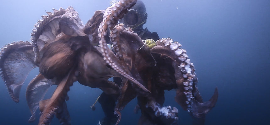 кадр из фильма Старый морпех кадр из фильма Старый морпех