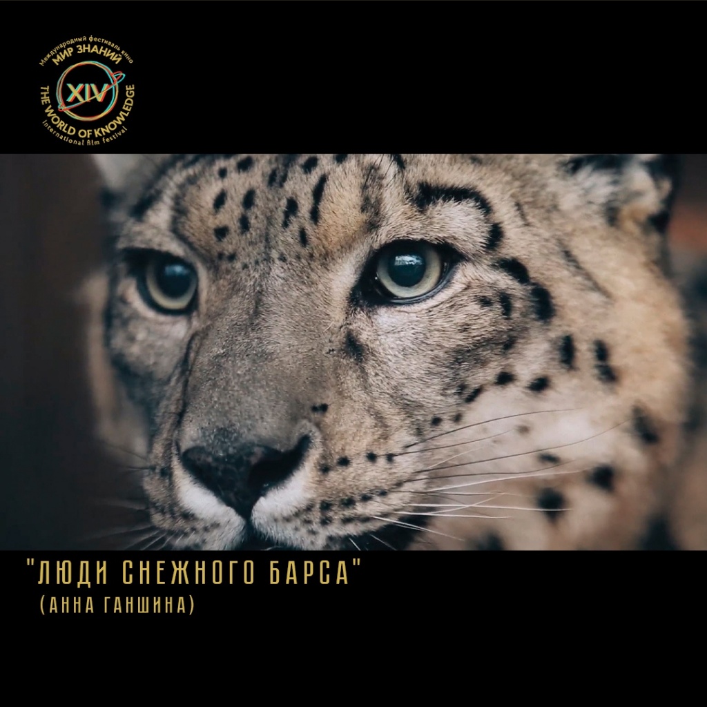 Мир знаний.jpg