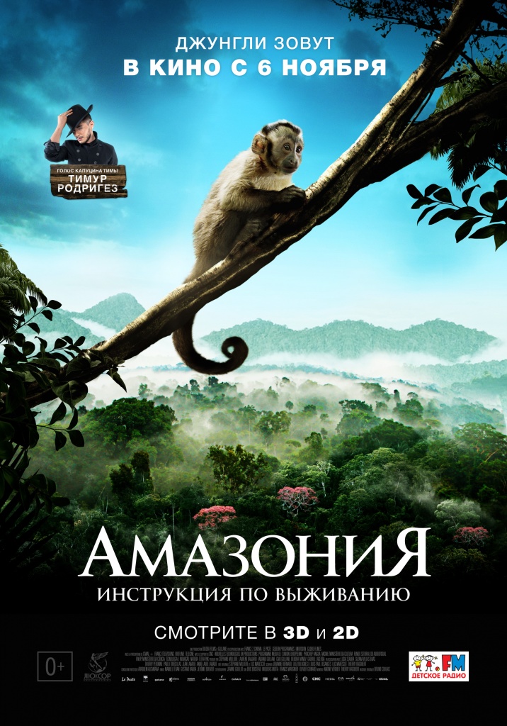 постер фильма "Амазония: Инструкция по выживанию"