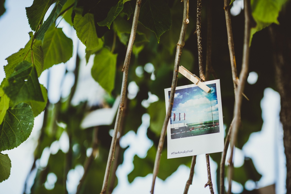 X Международный кинофестиваль им. Андрея Тарковского Зеркало