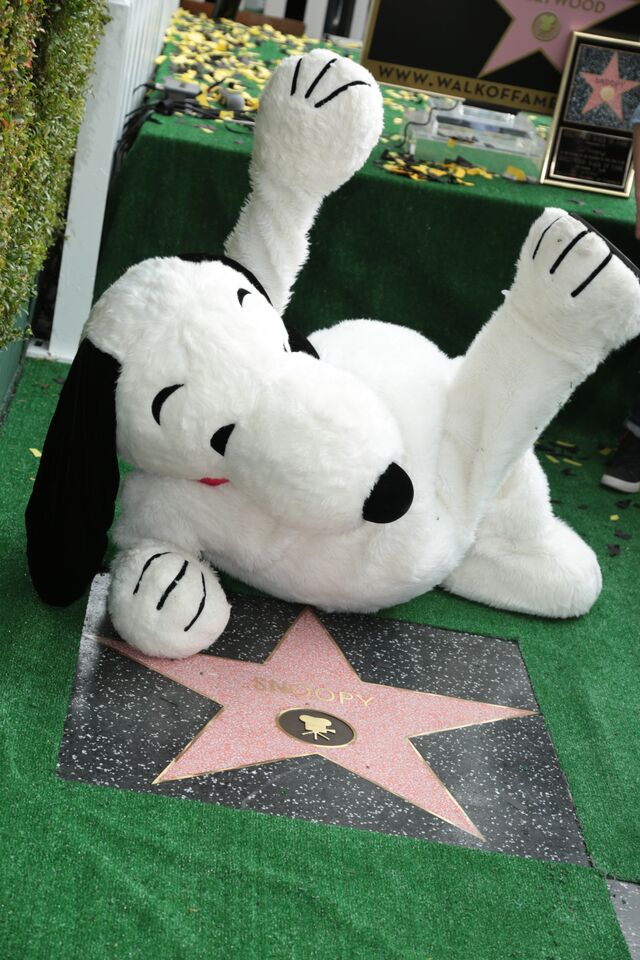 Самый популярный в мире пес Снупи получил звезду на Аллее славы в Голливуде