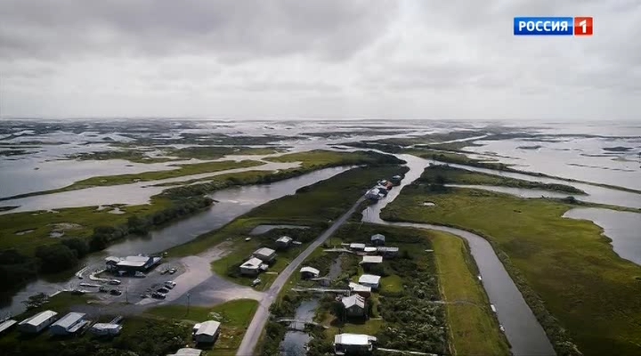 кадр из фильма Кто заплатит за погоду