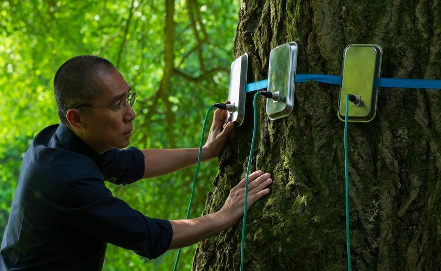 Кадр из фильма Молчаливый друг / Silent Friend