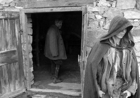 Туринская лошадь