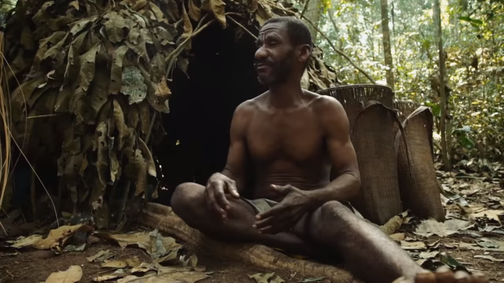 кадр из фильма В тени больших деревьев кадр из фильма В тени больших деревьев