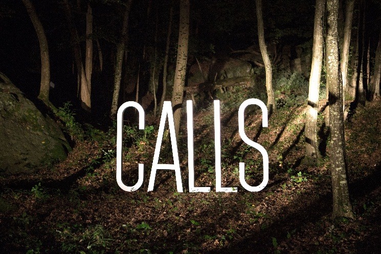  Calls