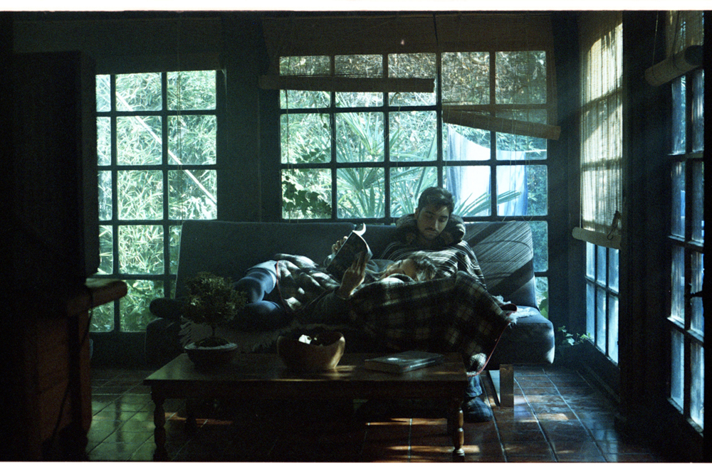 кадр из фильма Растения