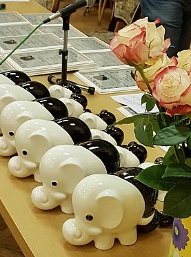 «Слоны» для киноведов