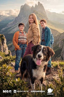 Пропала собака