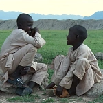 Роттердам наградил фильмы о жертвах войн и терроризма